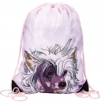 Sac pentru pantofi, model Caine, dimensiune 43x34cm.