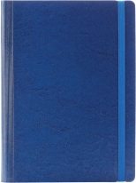 Agenda IDEA nedatata